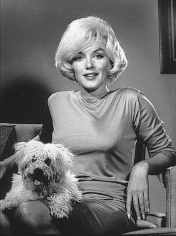 Marilyn con il cagnolino Maf (diminutivo di mafia), che le era stato regalato da Frank Sinatra.