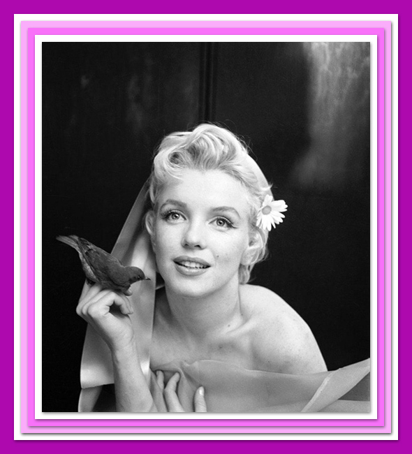 Foto di Marilyn con cornice grafica